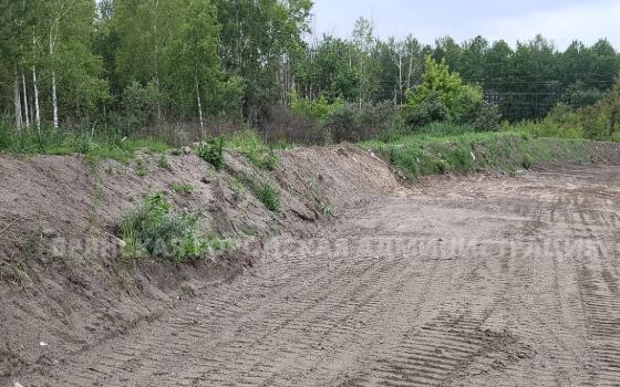 На пустыре в Большом Полпино сожгут заражённые деревья