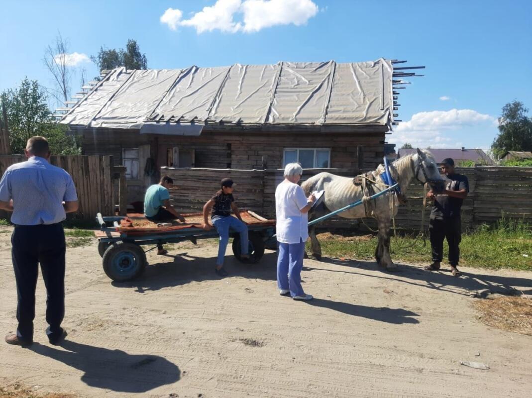 Чиновники и полиция провели рейд в домовладениях цыган в Брянске