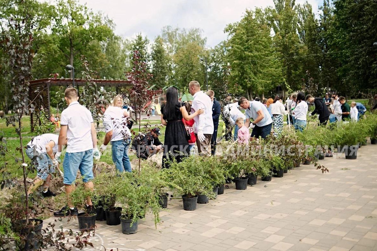 В парке Брянска высадили яблони и 160 кустарников