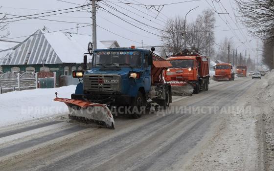 500 тонн снега вывезли с улиц Брянска