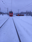 В Красноярском крае произошло ДТП на железнодорожном переезде