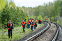 В Узбекистане высадят деревья вдоль 295 км железной дороги