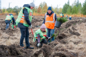 В 2024 году Южно-Уральская железная дорога значительно сократила выбросы в атмосферу