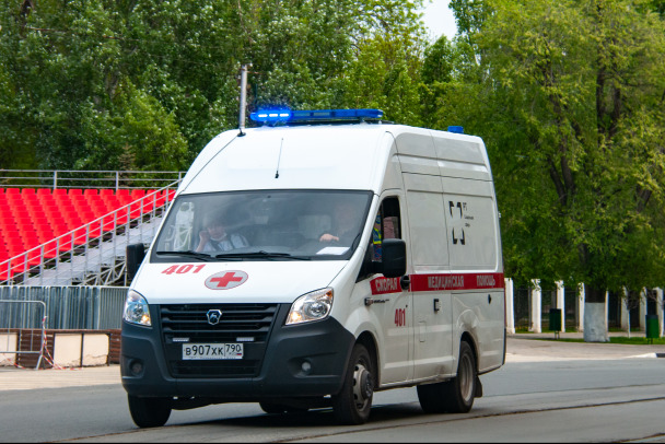 В ДТП с лосем под Кировском погиб петербуржец. В аварии под Лугой выжил только ребёнок