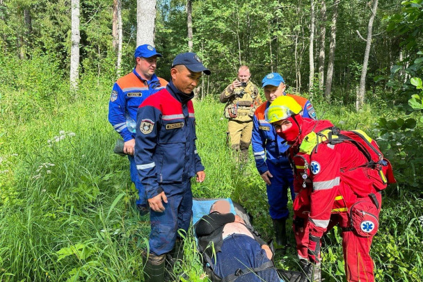 Мужчина провел ночь в лесу под Приозерском