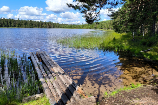 В Ленобласти сократился список безопасных для купания водоемов, в Петербурге таких вообще не осталось