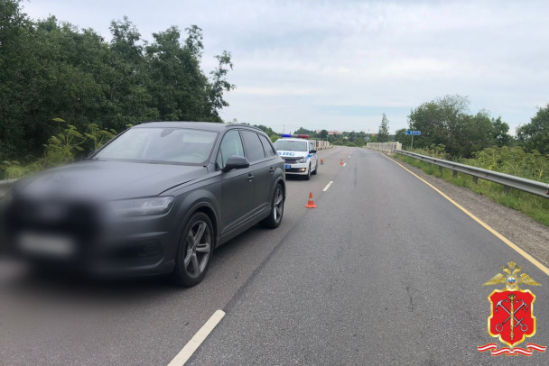 Audi насмерть сбила ребенка на трассе Зуево - Новая Ладога