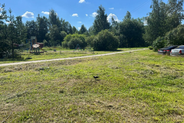 Отрадное перестало быть джунглями. В городе скосили заросли травы