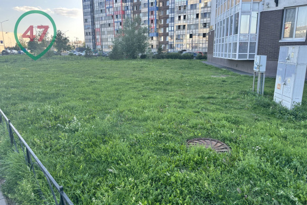 В Кудрово можно сдать в аренду газон. Недовольным смотреть на Мурино