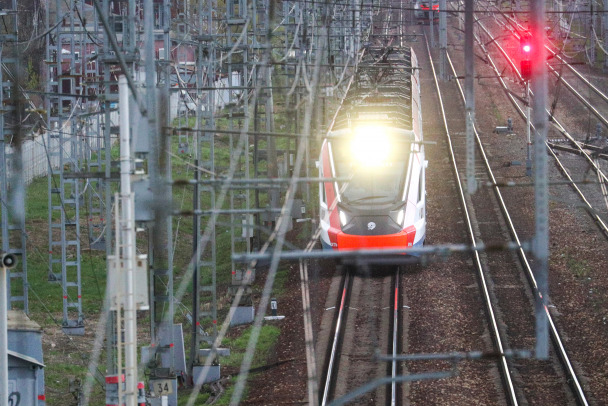 Толкнувшая двух девочек под колеса электрички в Саблино предстанет перед судом