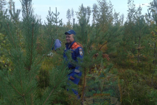 Поисковики нашли пенсионерку, блуждавшую четыре часа под Лодейным Полем