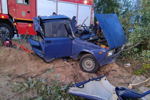 Водитель «Жигулей» погиб после тарана дерева во Всеволожске, в больнице двое пассажиров