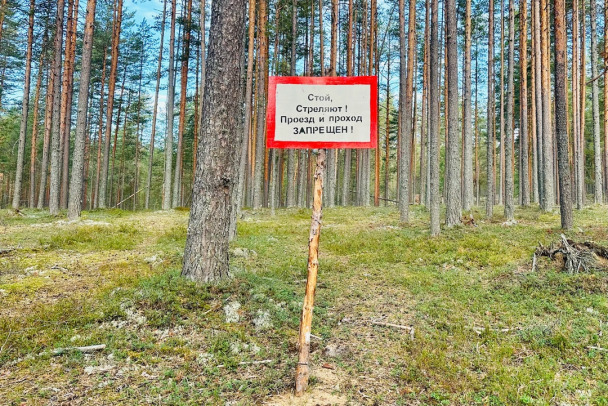 «В целях предотвращения несчастных случаев». Жителей Ромашкинского поселения предупреждают – на полигоне будут стрелять