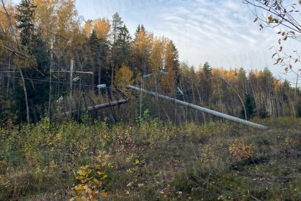 Стало известно, где причина блэкаута на севере Петербурга