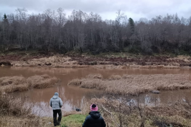 «Вода будто болотная». Река Сясь стала коричневой под Волховом