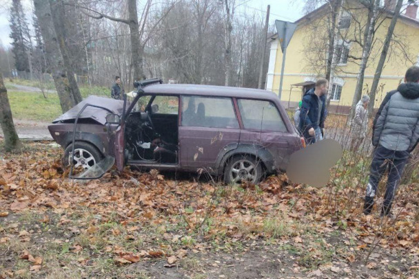 Полиция задержала водителя, который насмерть сбил ребенка под Всеволожском и сбежал