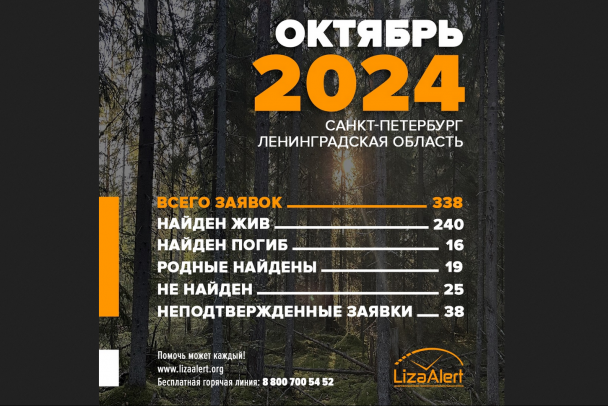 В Петербурге и Ленобласти отряд «ЛизаАлерт» нашел 240 человек за месяц. Активно помогали неравнодушные прохожие