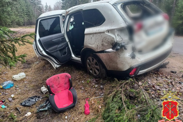 Под Выборгом автомобиль с детьми врезался в дерево. Полиция проводит проверку