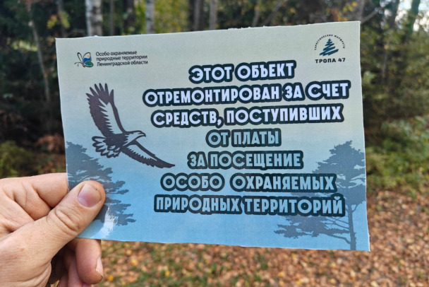 Природный парк Токсовский подлатали после вандализма  оплачивали посетители ООПТ