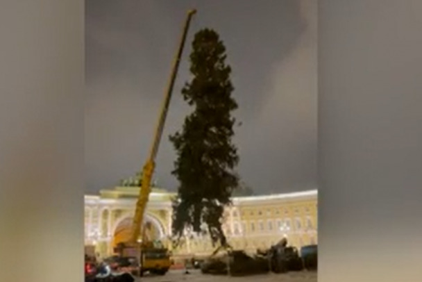 Пока вы спали. Новогодняя ель уже стоит на Дворцовой площади Петербурга