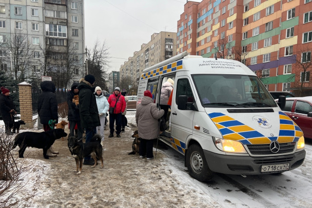 В Сертолово бесплатно зарегистрировали более сотни собак в ветеринарной амбулатории. На очереди  Кудрово и Янино