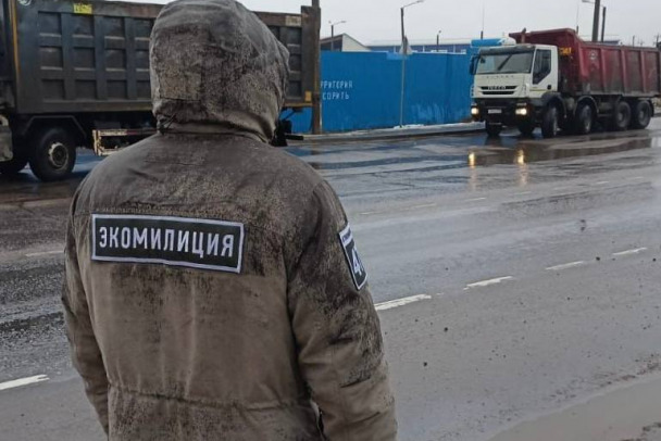 Экомилиция тормозила самосвалы под Всеволожском. Штрафы получали за перевозку мусора вне закона