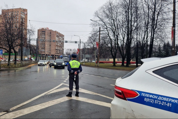 В Новоселье водитель из Армении поймал уголовное дело за пьяную езду. Его узнали с помощью нового реестра