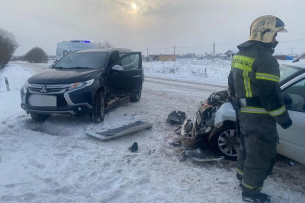 Водителя и пассажира «Лады» госпитализировали после аварии в деревне Большое Кикерино