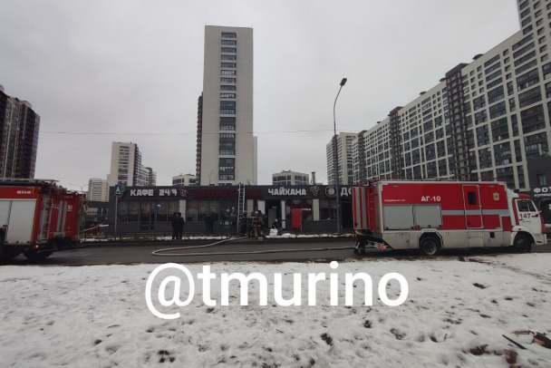 Утром в Мурино вспыхнула чайхана. Пожар локализован