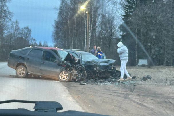 Водителя Skoda задержали после смертельной аварии под Кингисеппом