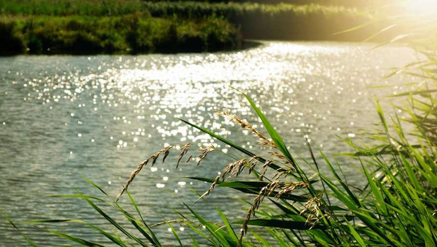 В Амурской области двух подростков во время купания затянуло в водоворот