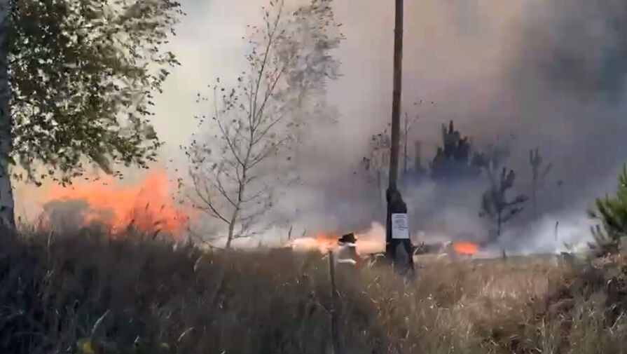 Лесной пожар вспыхнул в Воронежской области