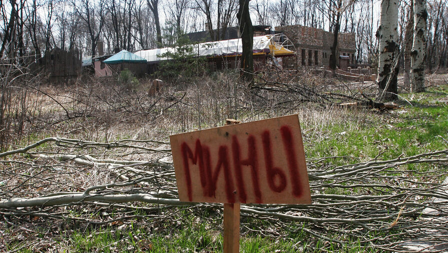 Пес Норис помог обнаружить мину-сюрприз в ЛНР