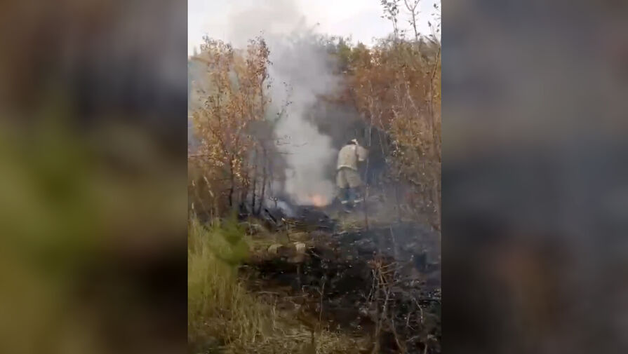 В Мордовии пожар распространился на десятки домов