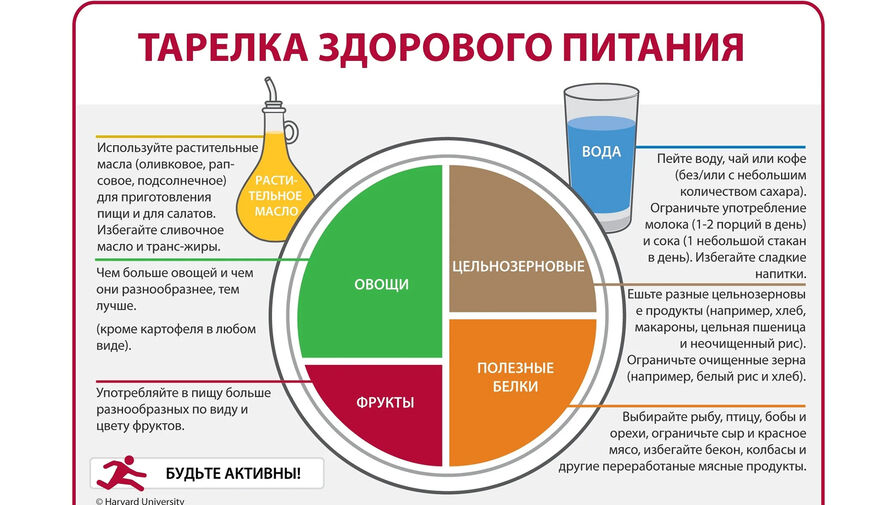 Врач рассказала, почему пожилым людям лучше питаться по методу гарвардской тарелки