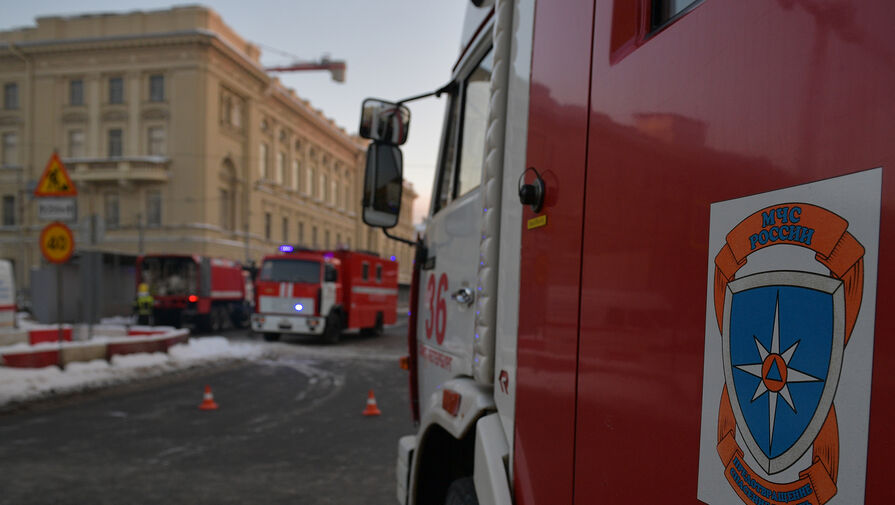 В Воронежской области тушат крупный пожар