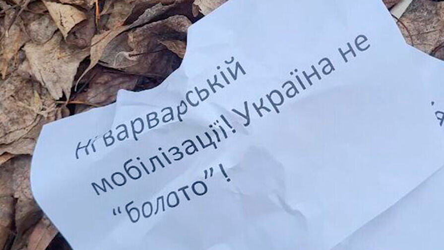 На Украине могут запустить процедуру блокировки счетов уклонистов