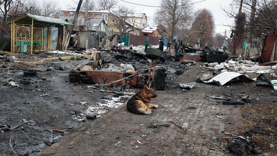 Добровольца ВСУ из Чехии обвинили в мародерстве в Буче