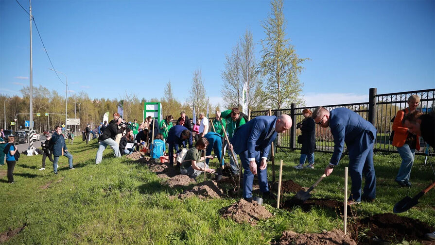 В Архангельске участники форума Арктика. Лед тронулся высадили Аллею регионов