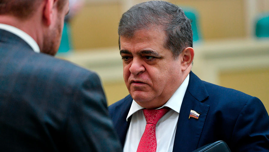 В Совфеде назвали Украину 'страной-наркоманом'