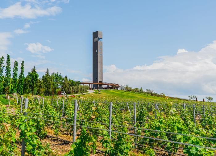 Winepark в Крыму привлек более 200 тысяч посетителей за три года работы