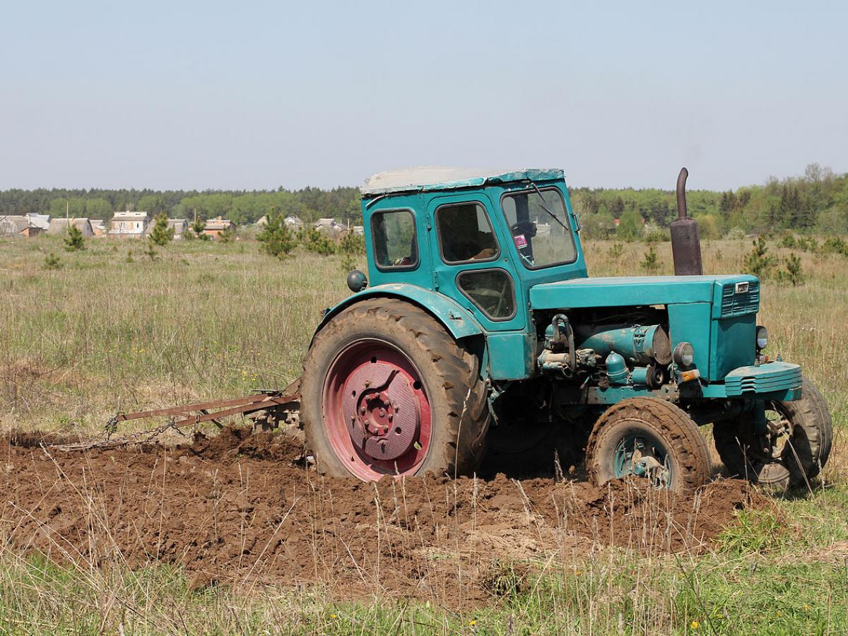 Трактор из СССР. Почему Беларус до сих пор в строю  причины невероятной популярности