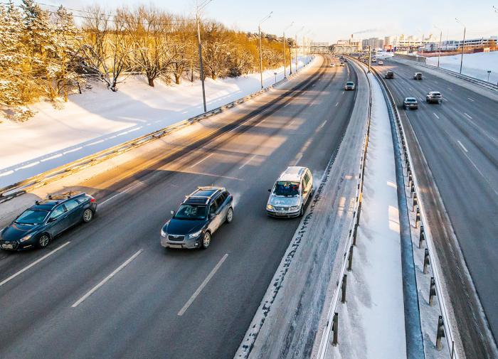 Водители устроили пробку на трассе М-11 под Тверью ради спасения медвежонка