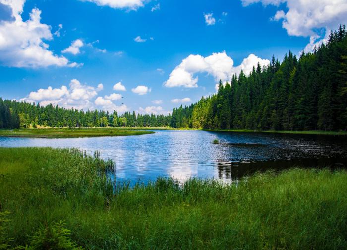 Почему облака не падают несмотря на их массу