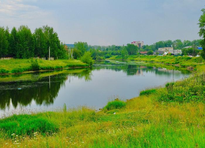 Реке Туле в Новосибирске грозит загрязнение из-за мигрантов