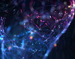 Марокканский Голливуд: как Уарзазат вырос из перевалочного пункта до мировой киноплощадки