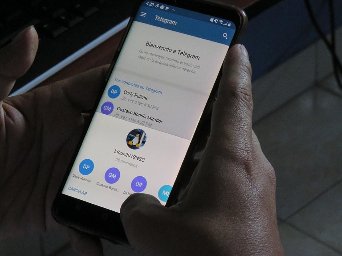 Telegram защитит от мошенников: новую функцию добавили в мессенджер