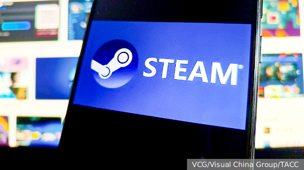 В Госдуме опровергли вмешательство Роскомнадзора в работу сервиса Steam