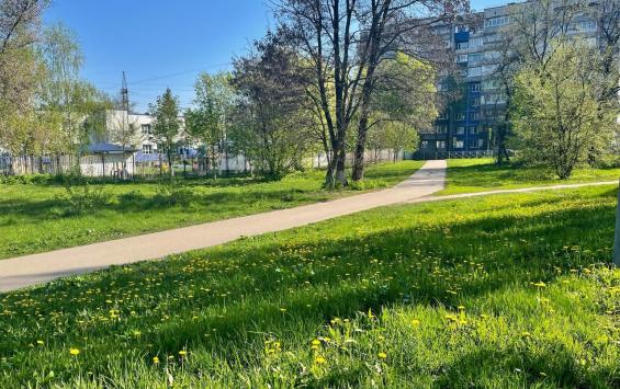 В Курске благоустройство сквера 'Спортивный' планируют завершить в сентябре этого года