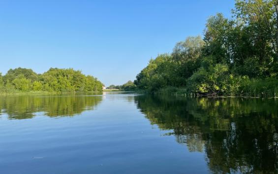 В Курской области за сутки с водоёмов удалили 25 детей